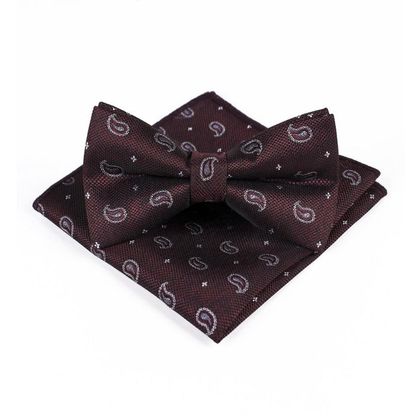 Brown Paisley Bow Tie & Handkerchief — Bow Ties available at the Sacramento studio