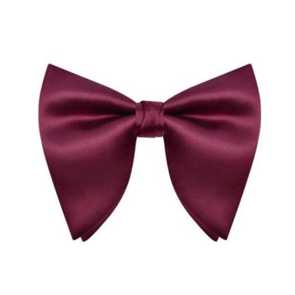 Burgundy Satin Butterfly Bow Tie — Bow Ties available at the Sacramento studio