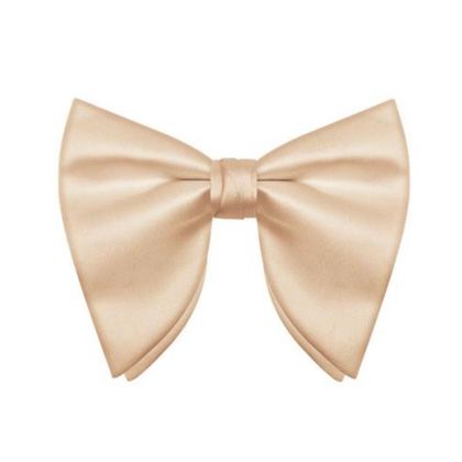 Cream White Satin Butterfly Bow Tie — Bow Ties available at the Sacramento studio