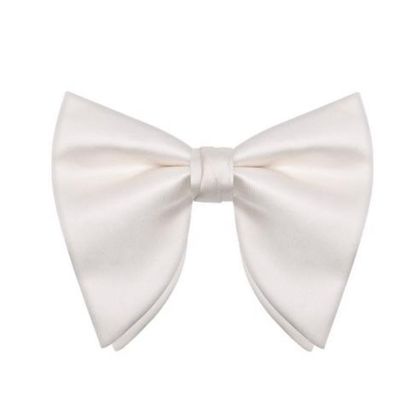White Satin Butterfly Bow Tie — Bow Ties available at the Sacramento studio